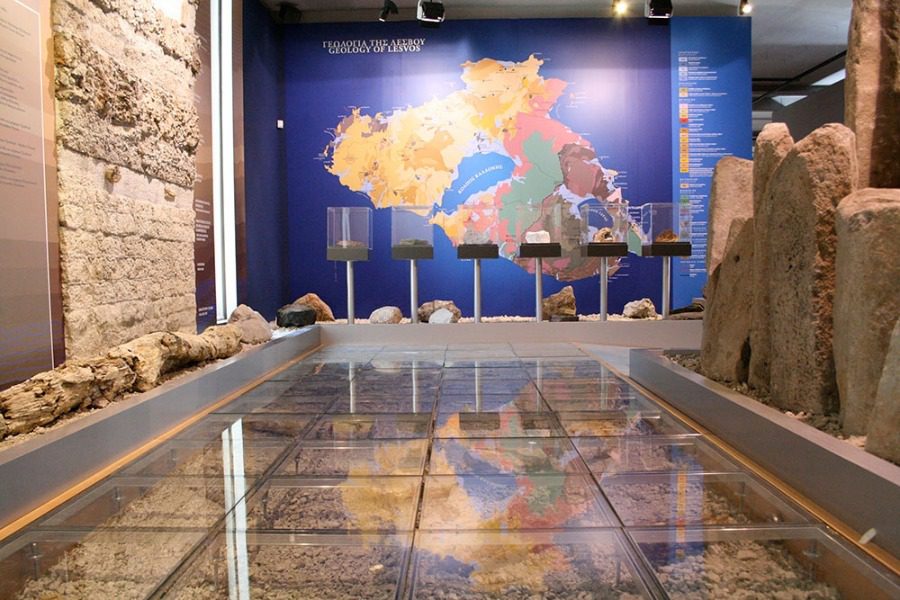 5 θέσεις στο Μουσείο Απολιθωμένου Δάσους Λέσβου