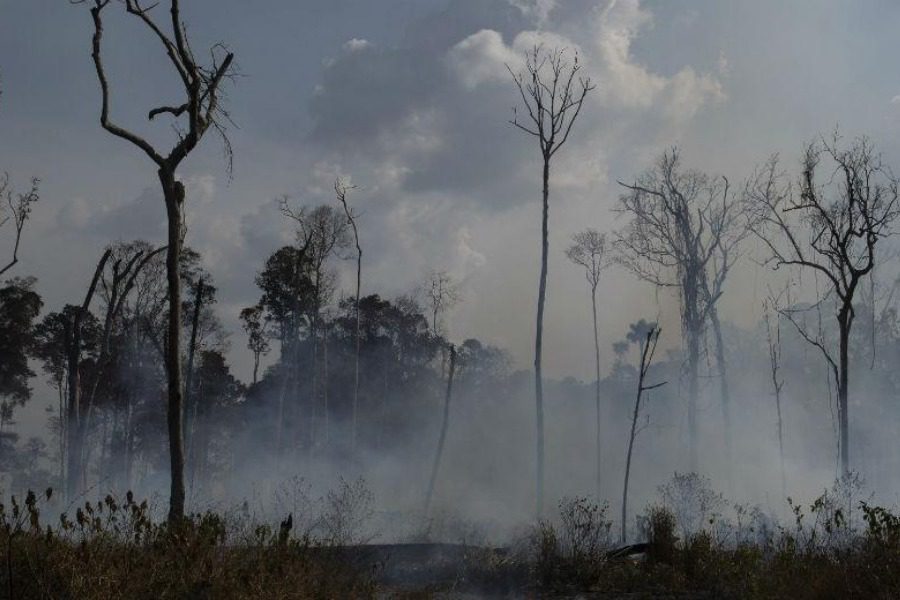 Καίγονται –ακόμα‑ οι «πνεύμονες» της Γης: τα τροπικά δάση του Αμαζονίου