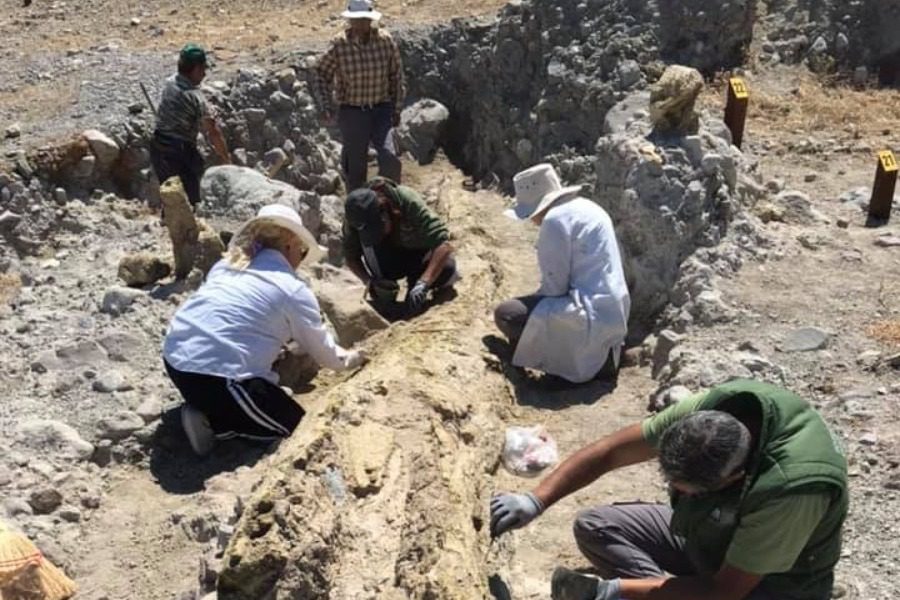 Υπαίθριο μουσείο απολιθωμάτων στο δρόμο  Καλλονής ‑ Σιγρίου 