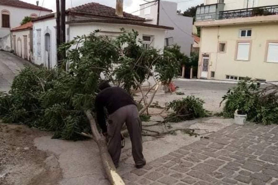 Θυελλώδεις άνεμοι, πτώσεις δέντρων και μεγάλες καταστροφές στη Λέσβο