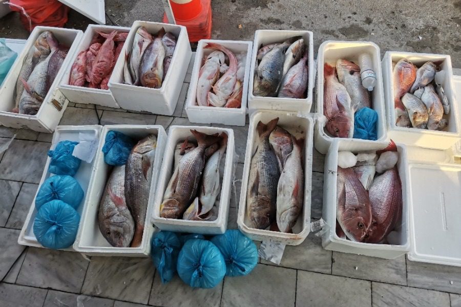 Παζάρι για τον καθορισμό των ποσοστώσεων αλιείας 