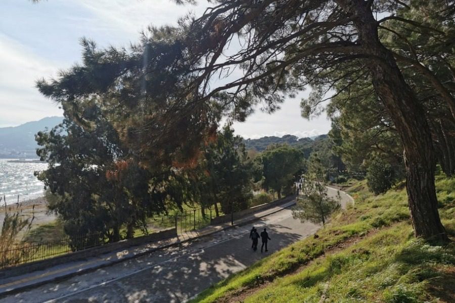 Ποδηλατόδρομος και καθαριότητα στα αιτήματα της Κοινότητας Μυτιλήνης