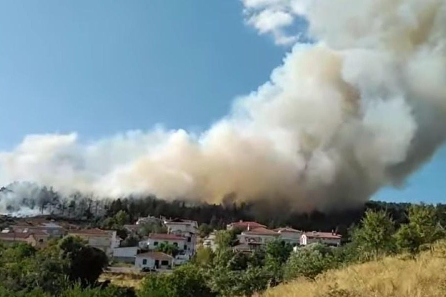 Μάχη με τις φλόγες στα Γρεβενά ‑ Κοντά σε σπίτια οι φλόγες