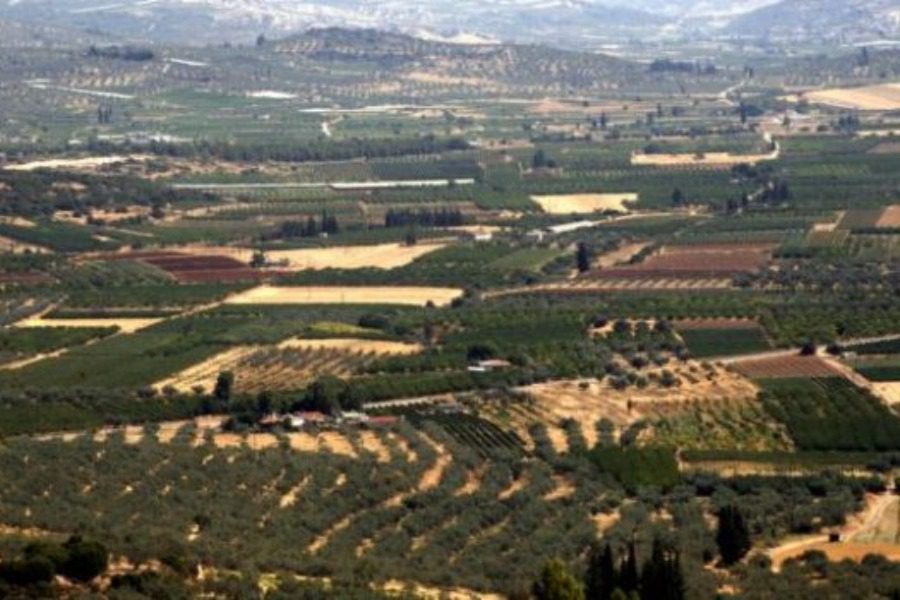 ΣΥΡΙΖΑ: Υπό κατάρρευση το σύστημα καταβολής των αγροτικών επιδοτήσεων 