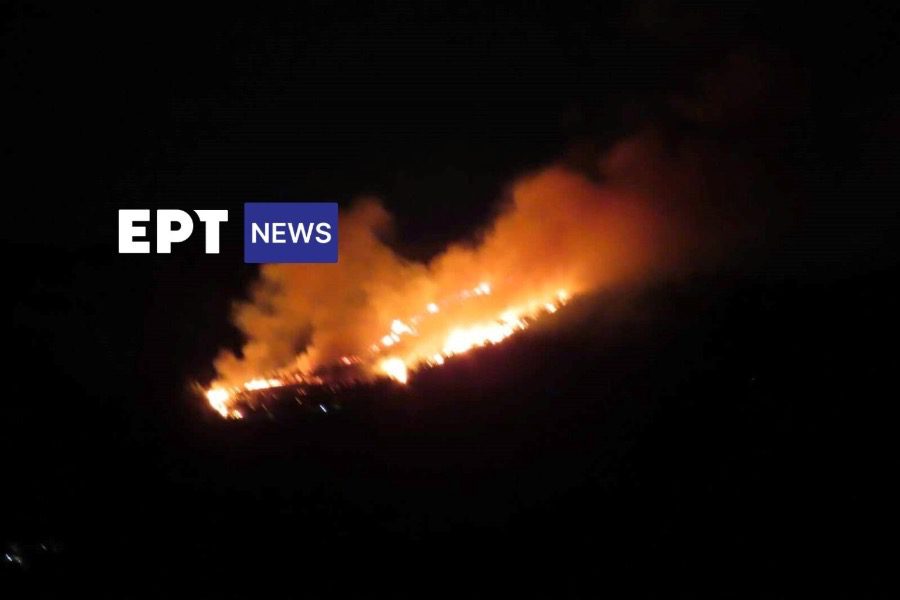 Μεγάλη πυρκαγιά στην περιοχή της Κατάβασης στη Χίο 
