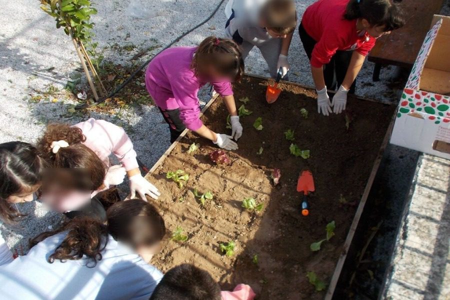 Ένας κήπος στην αυλή του 15ου δημοτικού σχολείου Μυτιλήνης