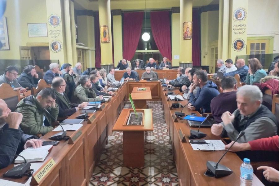 Νέα Επιτροπή Ισότητας στον Δήμο Μυτιλήνης 