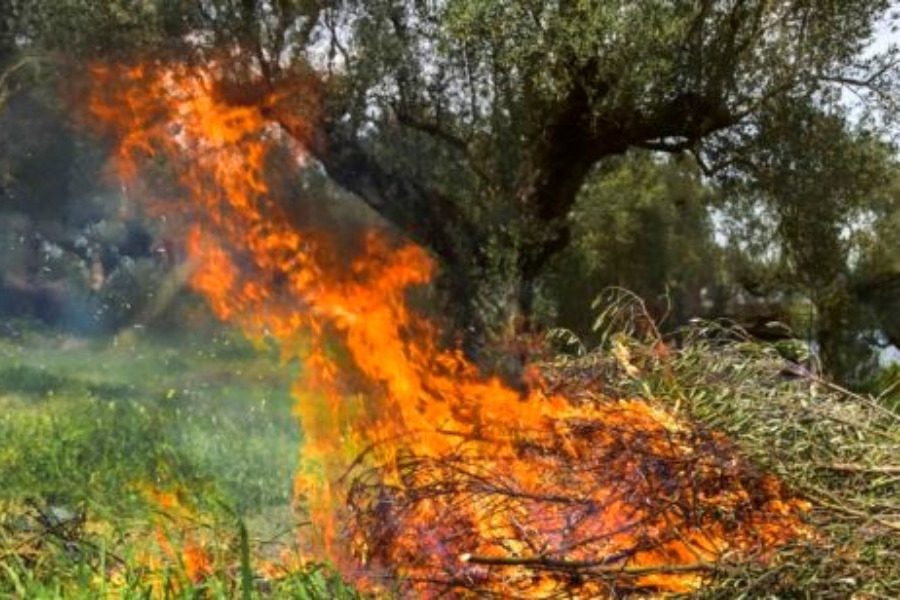 30χρονη κάηκε ζωντανή καίγοντας κλαδιά