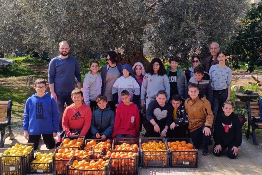Τα παιδιά του «Αρίωνα Παλαιοκήπου» μάζεψαν πορτοκάλια για το Θεομήτωρ
