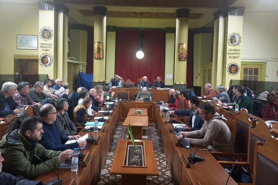 Οι εκπρόσωποι του Δήμου Μυτιλήνης σε επιτροπές και συλλογικά όργανα 