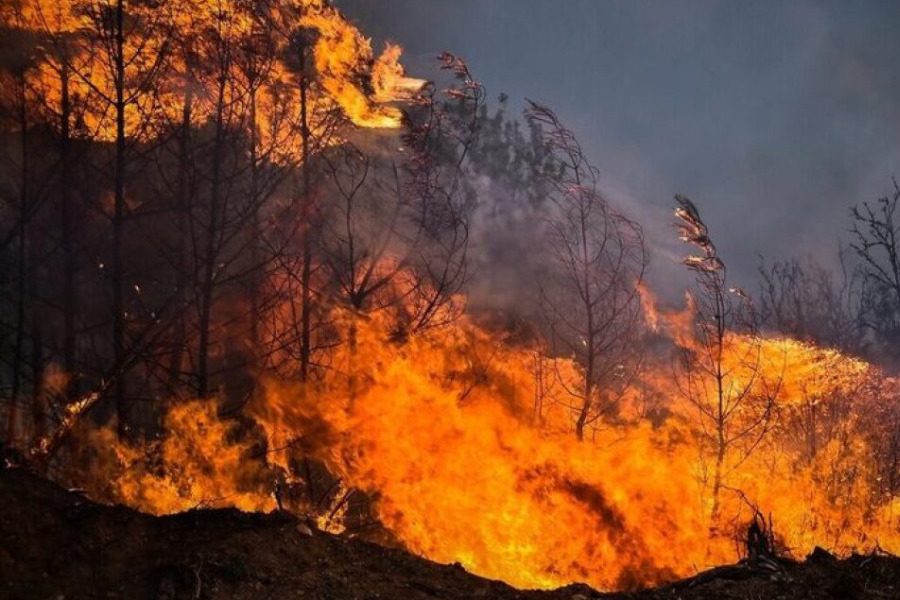 Πολύ υψηλός κίνδυνος πυρκαγιάς στο βόρειο Αιγαίο την Δευτέρα 