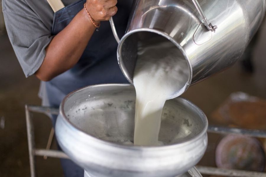 Σπάνε οι συμφωνίες για το αιγοπρόβειο γάλα;