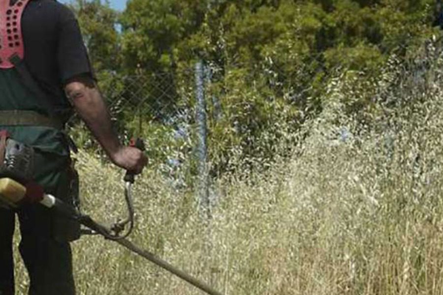Στο Δημοτικό Συμβούλιο Μυτιλήνης τα πρόστιμα για τον καθαρισμό των αγροτεμαχίων 