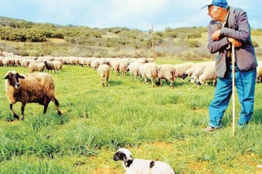 Κτηνοτρόφοι ζητούν δικαίωση…