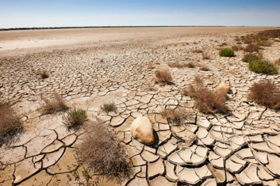 Ομάδα εργασίας για την ξηρασία συστήνει το υπουργείο Αγροτικής Ανάπτυξης